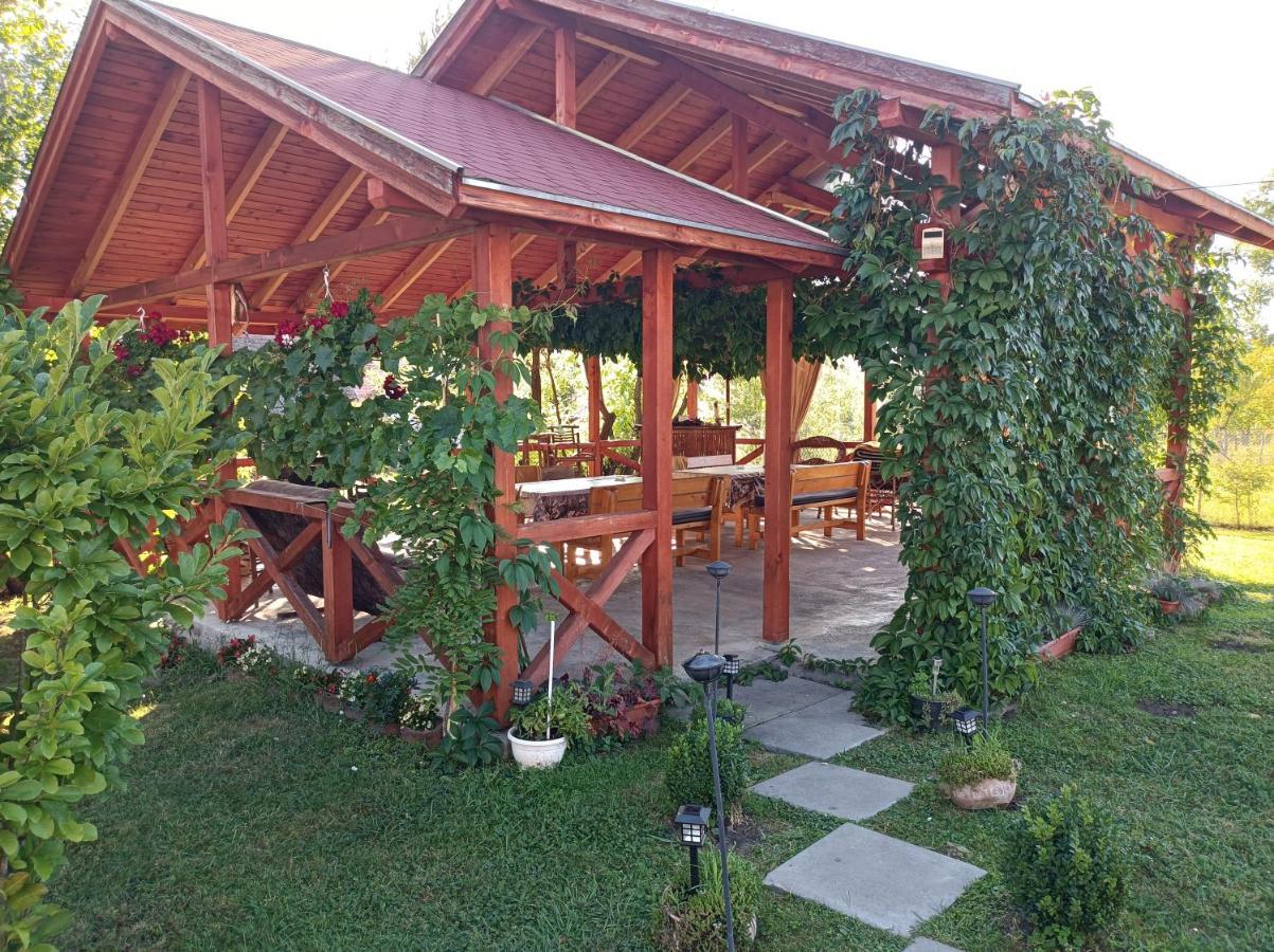 קורונד Narcisz B&B מראה חיצוני תמונה
