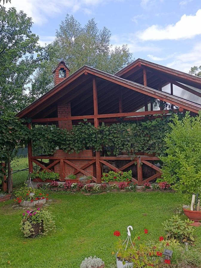 קורונד Narcisz B&B מראה חיצוני תמונה