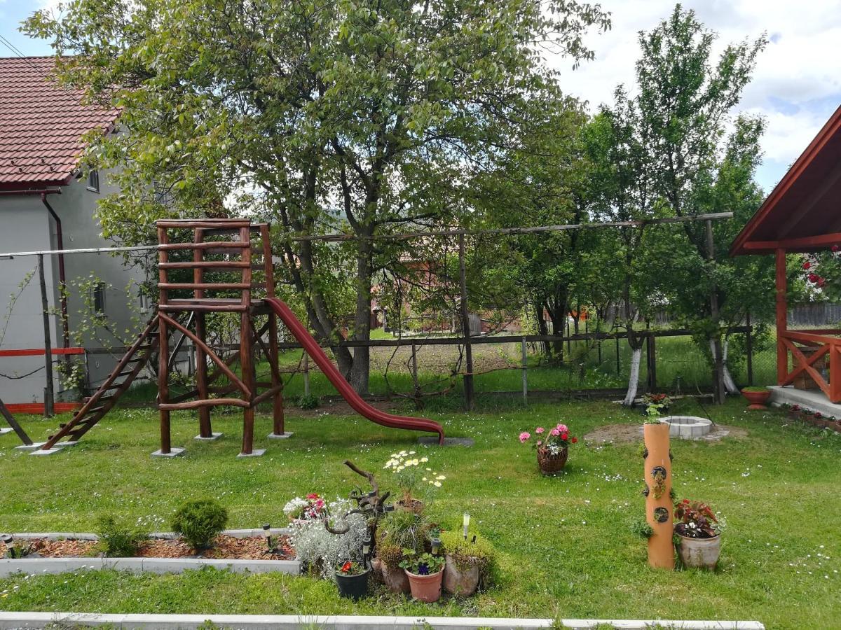 קורונד Narcisz B&B מראה חיצוני תמונה